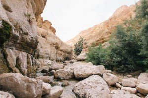 אשובה דבר תורה לפרשת מטות - החשיבות של ארץ ישראל והישיבה בארץ אשובה דבר תורה לפרשת מטות - החשיבות של ארץ ישראל והישיבה בארץ