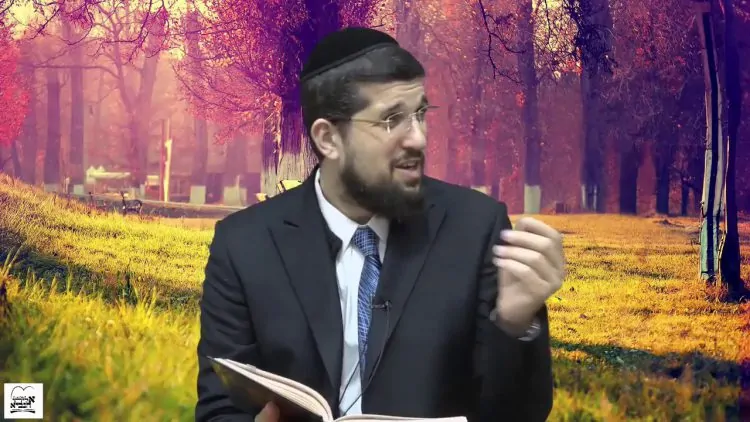 הדף היומי מסכת בכורות דף יד