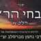ספר שבחי הר"ן חלק א