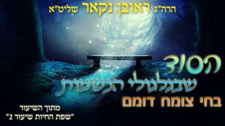 הגאון הרב ראובן נקאר שליט"א || הסוד שבגלגולי הנשמות בחי