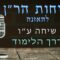 שיחות הר"ן שיחה ע"ו - דרך הלימוד