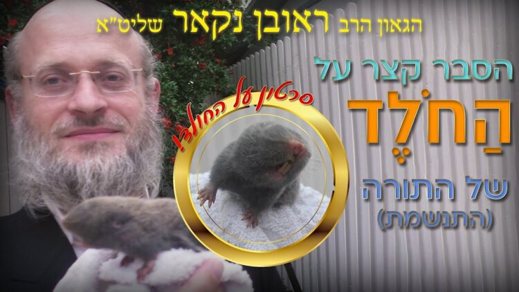 הגאון הרב ראובן נקאר שליט"א || החולד (תנשמת) של התורה!
