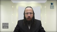 את מה מתירים 'עירוב החצרות' ו'שיתוף המבואות'?- שפ"ח שפ"ט