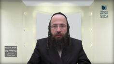 האם 'שיתוף מבואות' מתיר טלטול מחצר לחצר שלא דרך המבוי?-