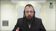 הדף היומי בעברית מסכת חולין דף כ