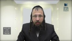 הדף היומי בעברית מסכת חולין דף כא
