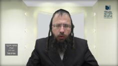 הדף היומי בעברית מסכת חולין דף כג