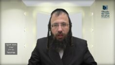 הדף היומי בעברית מסכת חולין דף כד