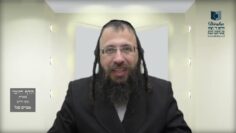 הדף היומי בעברית מסכת חולין דף כה
