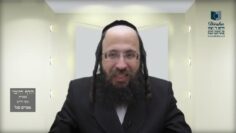 הדף היומי בעברית מסכת חולין דף כו