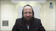 הדף היומי בעברית מסכת חולין דף כח