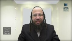 הדף היומי בעברית מסכת חולין דף כט