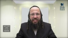 הדף היומי בעברית מסכת חולין דף לא