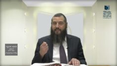 הדף היומי ירושלמי מסכת מגילה דף כז