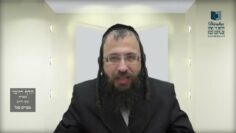 הדף היומי מסכת חולין דף טז