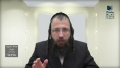 הדף היומי מסכת חולין דף יג