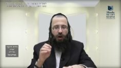העמוד היומי בעברית מסכת יומא דף יד עמוד ב