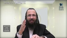 העמוד היומי בעברית מסכת יומא דף יז עמוד ב