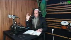 מדברים מרבי נחמן מברסלב דעת התמימות שבועות מתן תורה