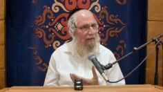 מתן תורה. להכניס אור לחיים