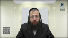 פקידים 'של כבוד' האם ניתן לשכור מהם את רשויות הגויים