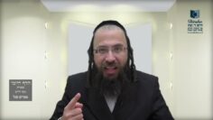 הדף היומי בעברית מסכת חולין דף נג