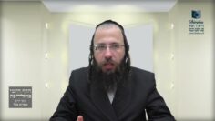 האם אדם נאמן להעיד על מידת ה'תחום' שראה בקטנותו?- שצ"ט