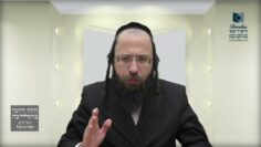 איזו הלכה מהלכות 'תחומין' למדנו מנבואות זכריה ויחזקאל?- שצ"ח י"א