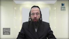 באיזה מקרה מודדים ל'תחום' אלף ותשע מאות ותשעים ושש אמות