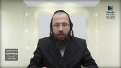 האם אדם נאמן להעיד על מידת ה'תחום' שראה בקטנותו?- שצ"ט