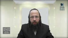 האם בערים בזמננו ניתן לעשות 'שיתוף מבואות' אחד לכל העיר?-