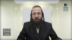 האם יש איסור 'תחומין' בהפלגה בספינה בשבת?- ת"ד א'