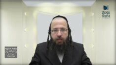 האם יש איסור 'תחומין' בחול המועד?- שצ"ז א' - ד'