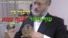 הגאון הרב ראובן נקאר שליט"א || ההבדל בין עוף טהור