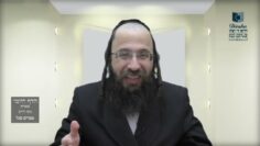 הדף היומי בעברית מסכת חולין דף לה