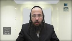 הדף היומי בעברית מסכת חולין דף לו