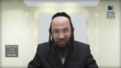 הדף היומי בעברית מסכת חולין דף לז