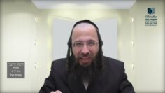 הדף היומי בעברית מסכת חולין דף לח