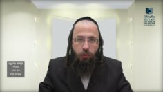 הדף היומי בעברית מסכת חולין דף לט