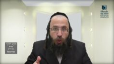 הדף היומי בעברית מסכת חולין דף מ