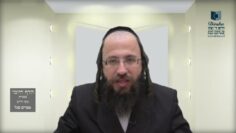 הדף היומי בעברית מסכת חולין דף מא
