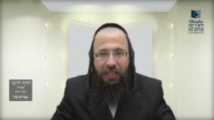 הדף היומי בעברית מסכת חולין דף מג