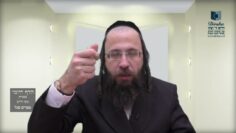 הדף היומי בעברית מסכת חולין דף מה