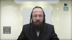 הדף היומי בעברית מסכת חולין דף מו