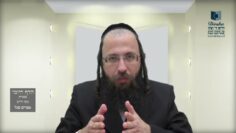 הדף היומי בעברית מסכת חולין דף נ
