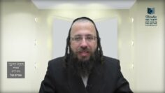 הדף היומי בעברית מסכת חולין דף נא