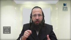 הדף היומי בעברית מסכת חולין דף נג