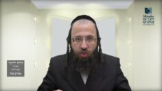 הדף היומי בעברית מסכת חולין דף נד