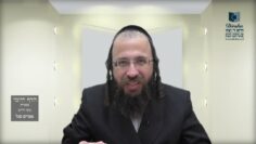 הדף היומי בעברית מסכת חולין דף נה