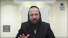 הדף היומי בעברית מסכת חולין דף נז